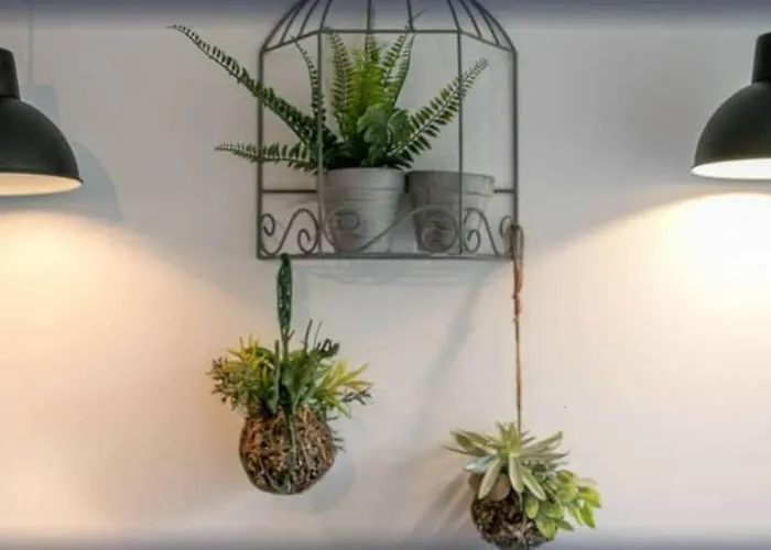 La Maison D'eden - Weekend / - Wifi / Tv Vakantiehuis